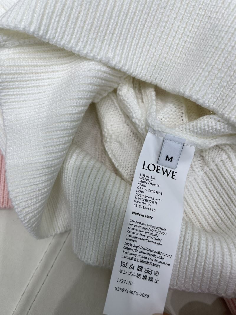 Loewe Sweaters